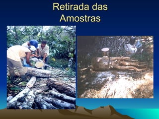 Retirada das Amostras 