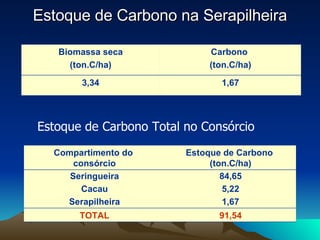 Estoque de Carbono na Serapilheira Estoque de Carbono Total no Consórcio 1,67 3,34 Carbono  (ton.C/ha) Biomassa seca (ton.C/ha) 5,22 Cacau 84,65 Seringueira Estoque de Carbono  (ton.C/ha) Compartimento do  consórcio 91,54 TOTAL 1,67 Serapilheira 