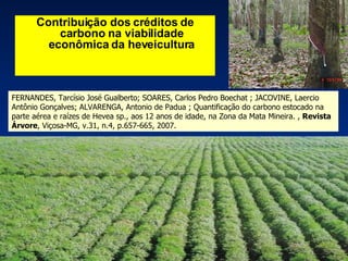 Contribuição dos créditos de carbono na viabilidade econômica da heveicultura FERNANDES, Tarcísio José Gualberto; SOARES, Carlos Pedro Boechat ; JACOVINE, Laercio Antônio Gonçalves; ALVARENGA, Antonio de Padua ; Quantificação do carbono estocado na parte aérea e raízes de Hevea sp., aos 12 anos de idade, na Zona da Mata Mineira. ,  Revista Árvore , Viçosa-MG, v.31, n.4, p.657-665, 2007.  