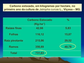 Carbono estocado, em kilogramas por hectare, no primeiro ano da cultura de  Jatropha curcas  L., Viçosa – MG. Carbono Estocado (Kg.ha -1 ) % Raízes finas 42,66 5,83 Folhas 116,12 15,87 Raiz pivotante 215,96 29,52 Ramos 356,89 48,78 Total 731,63 