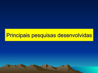Principais pesquisas desenvolvidas 