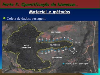 Coleta de dados: pastagem. Parte 2: Quantificação da biomassa… Material e métodos 