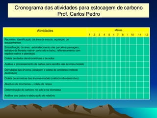 Cronograma das atividades para estocagem de carbono Prof. Carlos Pedro Abertura de trincheiras – coleta de raízes Coleta de amostras das árvores-modelo (método não-destrutivo) Coleta de dados dendrométricos e de solos 12 11 10 9 8 7 6 5 4 3 2 1 Análise dos dados e elaboração de relatório Determinação do carbono no solo e na biomassa Derrubada das árvores, pesagem e coleta de amostras (método destrutivo) Análise e processamento de dados para escolha das árvores-modelo Estratificação da área,  estabelecimento das parcelas (pastagem, estratos de floresta nativa- porte alto e baixo, reflorestamento com espécie nativa e plantada) Reuniões, identificação da área de estudo, aquisição de equipamentos Meses Atividades 