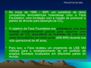 No início de 1990 - SEP, um consórcio de cinco companhias termoelétricas holandesas criou a Face Foundation, uma fundação com a missão de promover o plantio de árvores para absorção de CO 2 ; O objetivo da Face Foundation era  estabelecer uma área florestal suficientemente grande para absorver uma quantia de CO 2  equivalente às emissões de uma nova usina termoelétrica de médio porte  (400 MW) durante sua vida operacional de 40 anos; Para isso, a Face recebeu um orçamento de US$ 180 milhões para o estabelecimento de um portfolio de projetos florestais localizados em diferentes partes do mundo. PROJETOS NO MDL 