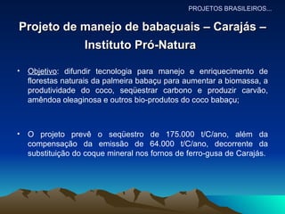 Projeto de manejo de babaçuais – Carajás – Instituto Pró-Natura   Objetivo : difundir tecnologia para manejo e enriquecimento de florestas naturais da palmeira babaçu para aumentar a biomassa, a produtividade do coco, seqüestrar carbono e produzir carvão, amêndoa oleaginosa e outros bio-produtos do coco babaçu; O projeto prevê o seqüestro de 175.000 t/C/ano, além da compensação da emissão de 64.000 t/C/ano, decorrente da substituição do coque mineral nos fornos de ferro-gusa de Carajás.  PROJETOS BRASILEIROS... 