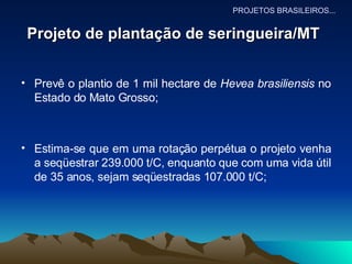 Projeto de plantação de seringueira/MT   Prevê o plantio de 1 mil hectare de  Hevea brasiliensis  no Estado do Mato Grosso; Estima-se que em uma rotação perpétua o projeto venha a seqüestrar 239.000 t/C, enquanto que com uma vida útil de 35 anos, sejam seqüestradas 107.000 t/C;  PROJETOS BRASILEIROS... 
