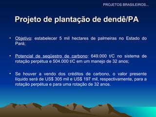 Projeto de plantação de dendê/PA   Objetivo : estabelecer 5 mil hectares de palmeiras no Estado do Pará; Potencial de seqüestro de carbono : 649.000 t/C no sistema de rotação perpétua e 504.000 t/C em um manejo de 32 anos; Se houver a vendo dos créditos de carbono, o valor presente líquido será de US$ 305 mil e US$ 197 mil, respectivamente, para a rotação perpétua e para uma rotação de 32 anos.  PROJETOS BRASILEIROS... 