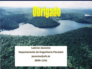 Obrigado Laércio Jacovine Departamento de Engenharia Florestal [email_address] 3899-1191 