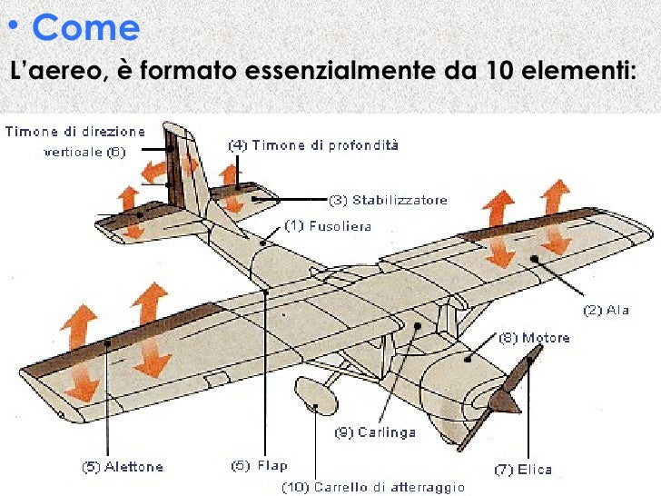 Parte Centrale Dell'aereo Regge Le Ali E Contiene Il Carico L’Aereo