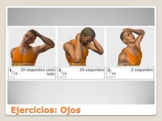 Ejercicios: Ojos