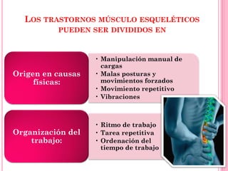 LOS TRASTORNOS MÚSCULO ESQUELÉTICOS
PUEDEN SER DIVIDIDOS EN
• Manipulación manual de
cargas
• Malas posturas y
movimientos forzados
• Movimiento repetitivo
• Vibraciones
Origen en causas
físicas:
• Ritmo de trabajo
• Tarea repetitiva
• Ordenación del
tiempo de trabajo
Organización del
trabajo:
 