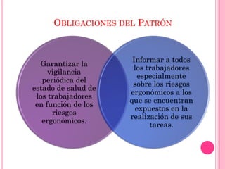 OBLIGACIONES DEL PATRÓN
Garantizar la
vigilancia
periódica del
estado de salud de
los trabajadores
en función de los
riesgos
ergonómicos.
Informar a todos
los trabajadores
especialmente
sobre los riesgos
ergonómicos a los
que se encuentran
expuestos en la
realización de sus
tareas.
 
