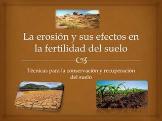 Técnicas para la conservación y recuperación 
del suelo 
 