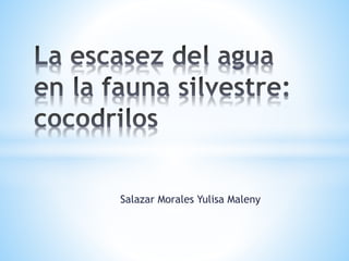 Salazar Morales Yulisa Maleny
 