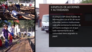 EJEMPLOS DE ACCIONES
Y ACTIVIDADES
• El colegio CEIP Gloria Fuertes de
Montequinto con el fin de reunir
a familias, centro e instituciones
cada año comienza la siembra de
un huerto ecológico en el que
cada representante de la
comunidad tiene asignado su
papel.
 