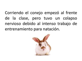 Corriendo el conejo empezó al frente de la clase, pero tuvo un colapso nervioso debido al intenso trabajo de entrenamiento para natación. 
