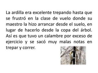 La ardilla era excelente trepando hasta que se frustró en la clase de vuelo donde su maestro la hizo arrancar desde el suelo, en lugar de hacerlo desde la copa del árbol. Así es que tuvo un calambre por exceso de ejercicio y se sacó muy malas notas en trepar y correr.