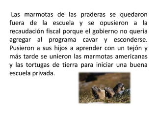  Las marmotas de las praderas se quedaron fuera de la escuela y se opusieron a la recaudación fiscal porque el gobierno no quería agregar al programa cavar y esconderse. Pusieron a sus hijos a aprender con un tejón y más tarde se unieron las marmotas americanas y las tortugas de tierra para iniciar una buena escuela privada. 