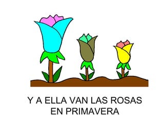 Y A ELLA VAN LAS ROSAS EN PRIMAVERA 