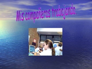Mis compañeros trabajando.