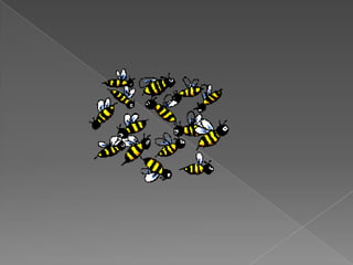 La escuela nueva – la escuela activa