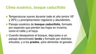 Clima oceánico, bosque caducifolio
 Temperaturas suaves durante todo el año (entre 10º
y 20ºC) y precipitaciones regulares y abundantes.
 Paisaje oceánico de bosque caducifolio, formado
por especies que pierden las hojas en invierno,
como el roble y el haya.
 Cuando desaparece el bosque, deja paso a un
paisaje denominado landa y formado por distintos
arbustos, y a los prados, para alimentar al ganado.
.
 