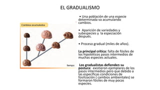 Gradualidad La Especiación y Teorías Evolutivas: Gradualismo, Puntualismo y ...