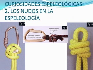 CURIOSIDADES ESPELEOLÓGICAS2. LOS NUDOS EN LA ESPELEOLOGÍA