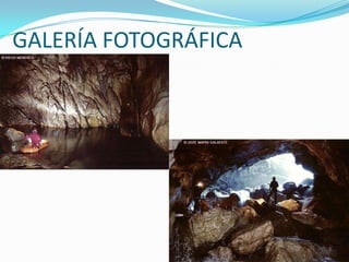 GALERÍA FOTOGRÁFICA