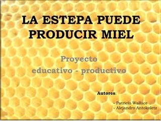 LA ESTEPA PUEDE
PRODUCIR MIEL
Proyecto
educativo - productivo
Autores:
- Patricio Wallace
- Alejandro Antokoletz

 