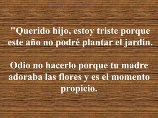 "Querido hijo, estoy triste porqueeste año no podré plantar el jardín.Odio no hacerlo porque tu madre adoraba las flores y es el momento propicio.
