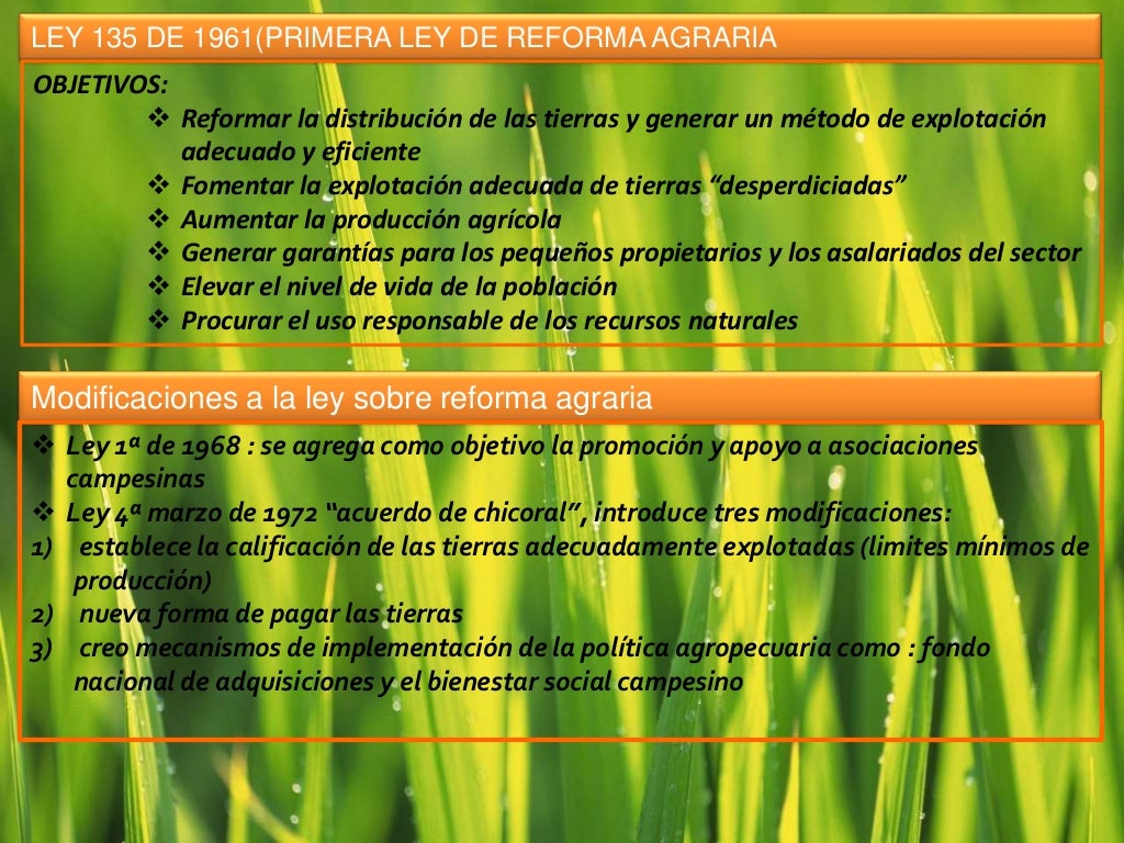 La estructura agraria