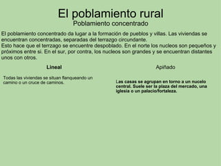 El poblamiento rural Poblamiento concentrado Lineal   Todas las viviendas se situan flanqueando un camino o un cruce de caminos. Apiñado     L as casas se agrupan en torno a un nucelo central. Suele ser la plaza del mercado, una iglesia o un palacio/fortaleza. El poblamiento concentrado da lugar a la formación de pueblos y villas. Las viviendas se encuentran concentradas, separadas del terrazgo circundante.  Esto hace que el terrzago se encuentre despoblado. En el norte los nucleos son pequeños y próximos entre si. En el sur, por contra, los nucleos son grandes y se encuentran distantes unos con otros. 