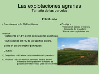 Las explotaciones agrarias Tamaño de las parcelas El latifundio   - Parcela mayor de 100 hectáreas.                                 - Dos tipos:                                                                                             * Tradicional, escasa inversión y                                                                                                                            desinterés del propietario                                                                                             * Plantaciones capitalistas: alta inversión - Representa el 4,5% de las explotaciones españolas. - Reune apenas el 57% de la superficie agraria. - Se da en el sur e interior penínsular: - Causas: a) Geográficas -> El relieve determina el tamaño parcelario. b) Históricas -> La distribución parcelaria llevada a cabo                              durante la reconquista llevó al reparto de                              parcelas entre la nobleza y las órdenes militares conquistadoras.    