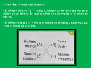 ¿Cómo identificamos a los átomos?.
• El número atómico ( Z ) = indica el número de protones que hay en el
núcleo de un átomos. Es igual al número de electrones si el átomo es
neutro.
• El número másico ( A ) = indica el número de protones y neutrones que
tiene el núcleo de un átomo.
 