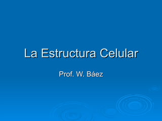 La Estructura Celular Prof. W. Báez 