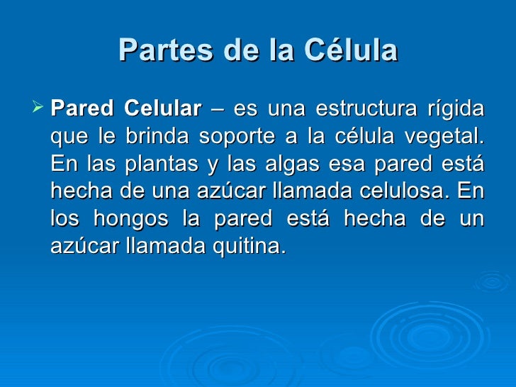 La Estructura Celular