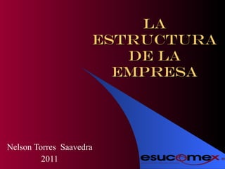 La estructura de la empresa Nelson Torres  Saavedra 2011 