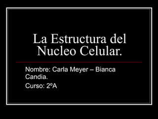 La Estructura del Nucleo Celular. Nombre: Carla Meyer – Bianca Candia. Curso: 2ºA 