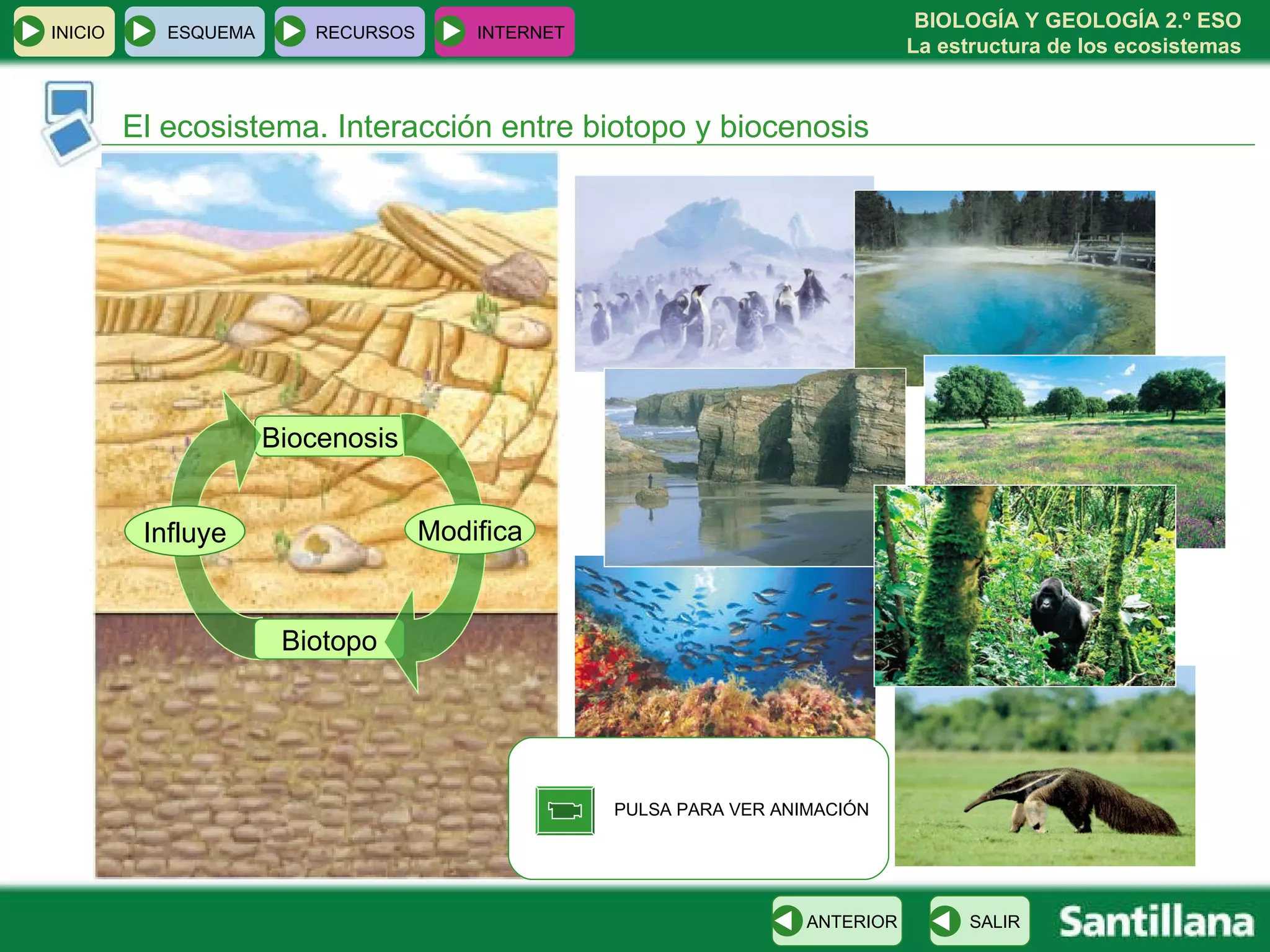 PULSA PARA VER ANIMACIÓN El ecosistema. Interacción entre biotopo y biocenosis Biocenosis Influye Biotopo Modifica INICIO ESQUEMA RECURSOS INTERNET SALIR ANTERIOR 