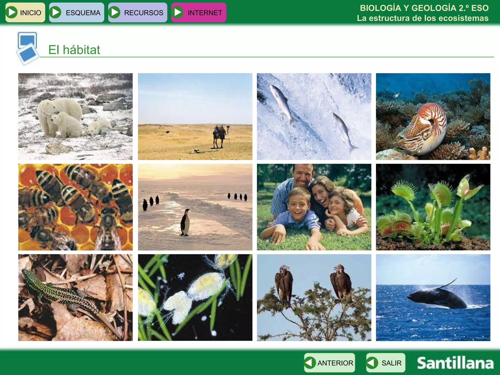 El hábitat INICIO ESQUEMA RECURSOS INTERNET SALIR ANTERIOR 