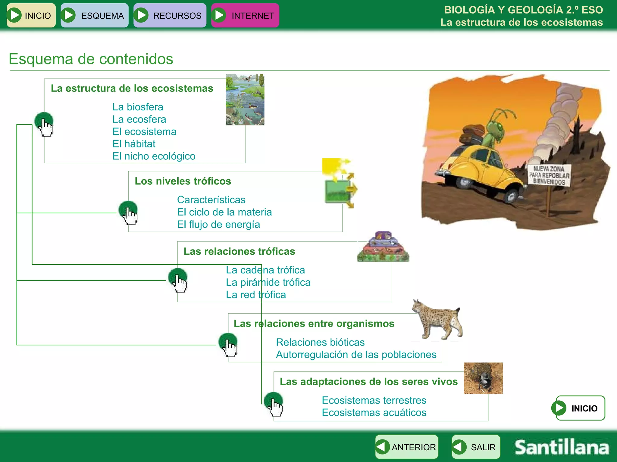 Esquema de contenidos La estructura de los ecosistemas La biosfera La ecosfera El ecosistema El hábitat El nicho ecológico Los niveles tróficos Características El ciclo de la materia El flujo de energía Las adaptaciones de los seres vivos Ecosistemas terrestres Ecosistemas acuáticos Las relaciones tróficas La cadena trófica La pirámide trófica La red trófica Las relaciones entre organismos Relaciones bióticas Autorregulación de las poblaciones INICIO ESQUEMA RECURSOS INTERNET INICIO SALIR ANTERIOR 