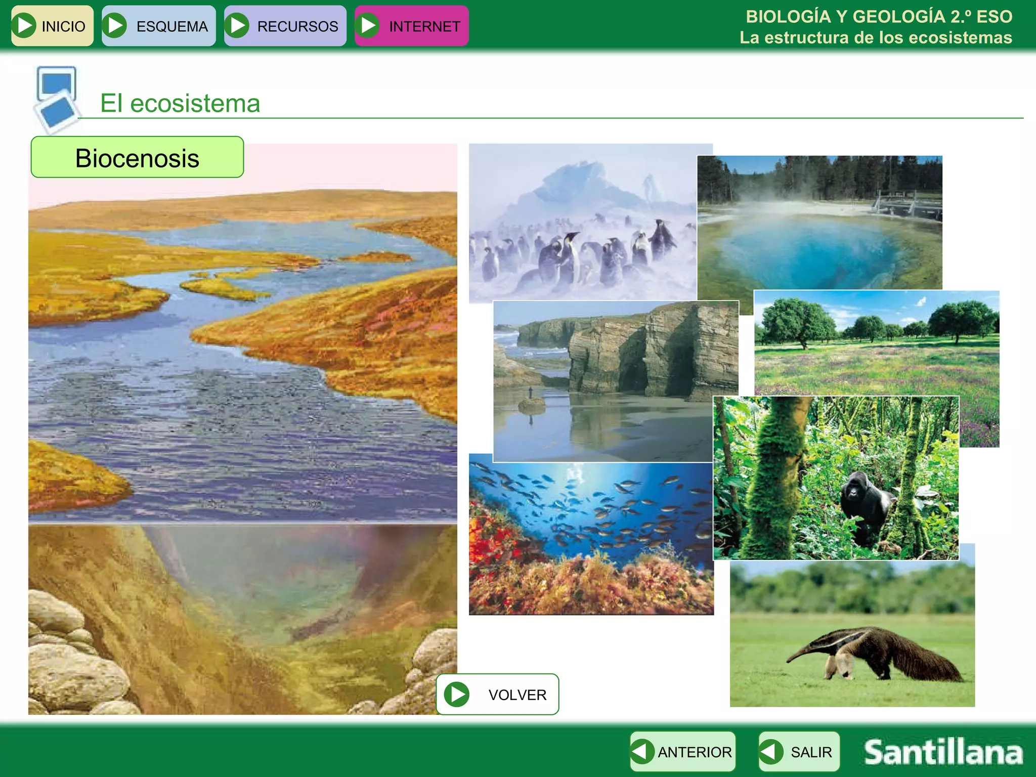 El ecosistema Biocenosis INICIO ESQUEMA RECURSOS INTERNET SALIR ANTERIOR VOLVER 