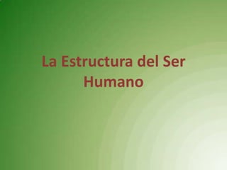 La Estructura del Ser Humano 