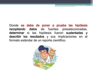 Donde se debe de poner a prueba las hipótesis
recopilando datos de fuentes preseleccionadas,
determinar si las hipótesis fueron sustentadas y
describir los resultados y sus implicaciones en el
formato estándar de un reporte científico.
 