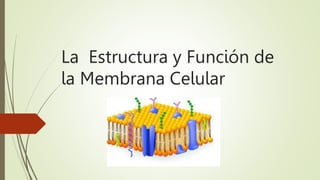 La Estructura y Función de
la Membrana Celular
 