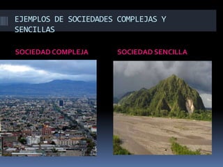EJEMPLOS DE SOCIEDADES COMPLEJAS Y SENCILLASSOCIEDAD COMPLEJASOCIEDAD SENCILLA