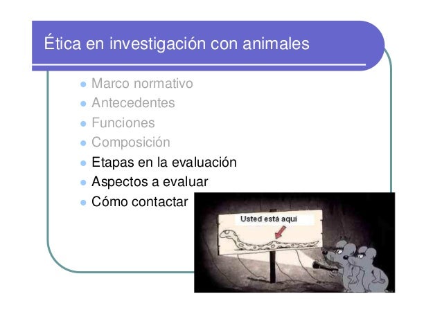 La etica en la investigacion con animales