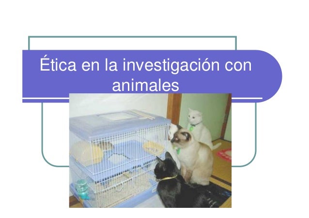 40 Razones Para Defender La Investigacion Con Animales
