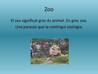 Zoo
El seu significat grec és animal. En grec zoo.
Una paraula que la contingui zoologia.
 